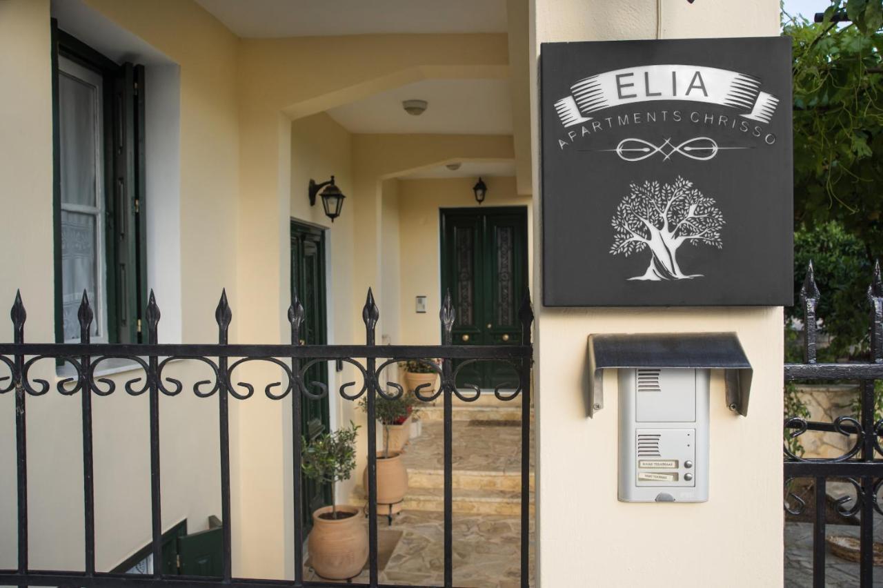 Elia Apartments Chrisso Delphi Buitenkant foto