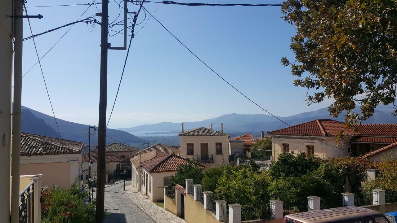 Elia Apartments Chrisso Delphi Buitenkant foto